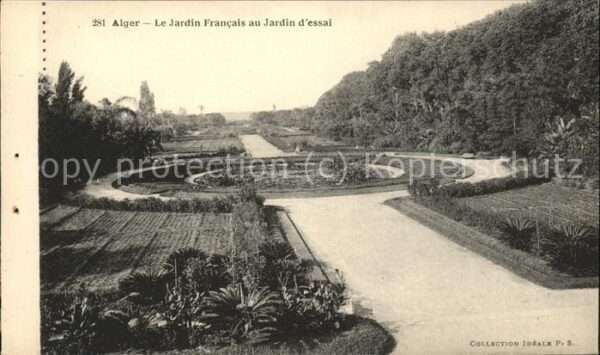 Alger Algerien Jardin Francais et Jardin d_essai