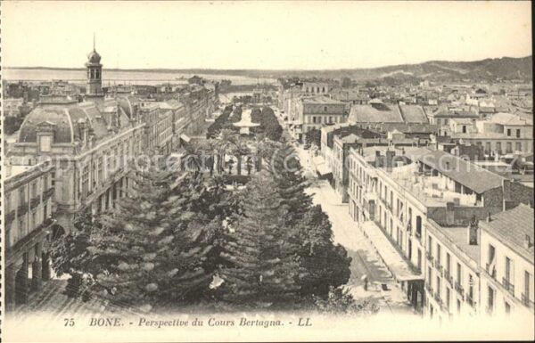 Bone Perspective du Cours Bertagna