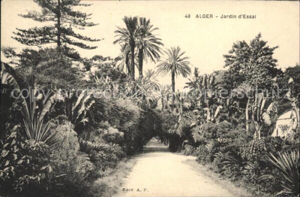 Alger Algerien Jardin d_Essai