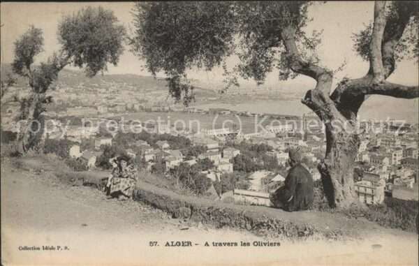 Alger Algerien A travers les Oliviers vue generale