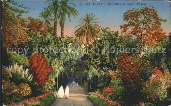 Alger Algerien Allee du Jardin d_essai