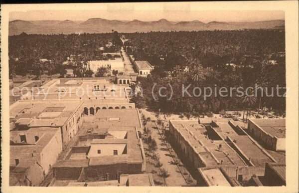 Laghouat Avenue Cassaigne