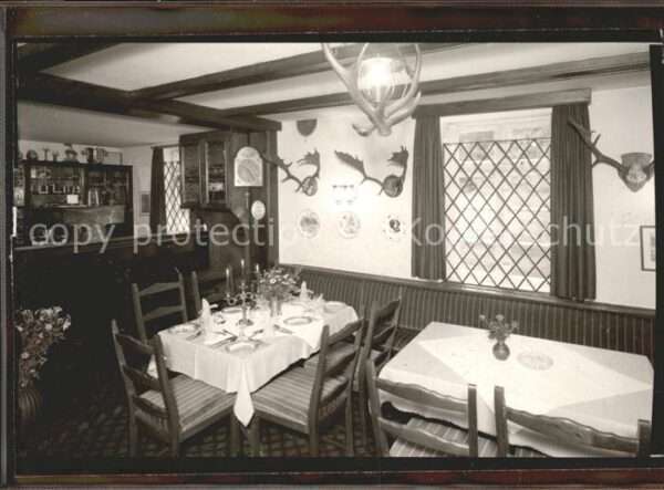 Schlangen Tiere Forsthaus
