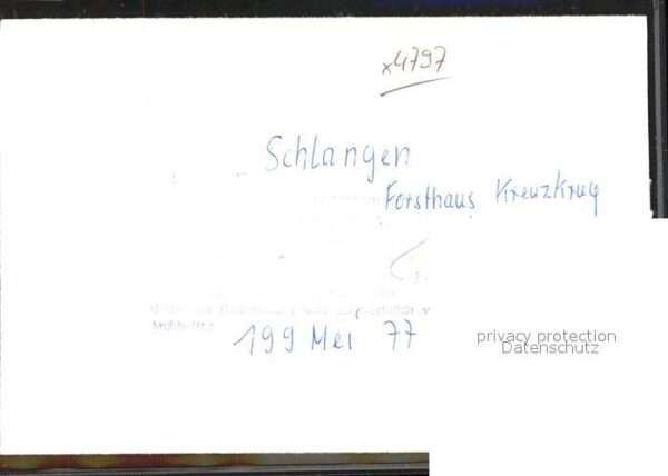 Schlangen Tiere Forsthaus – Bild 2