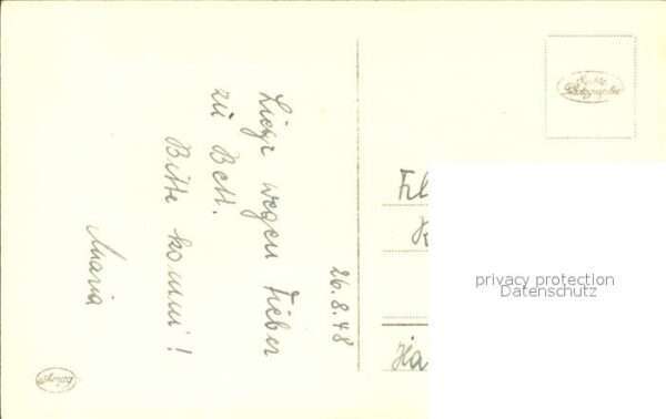 Rosen – Bild 2