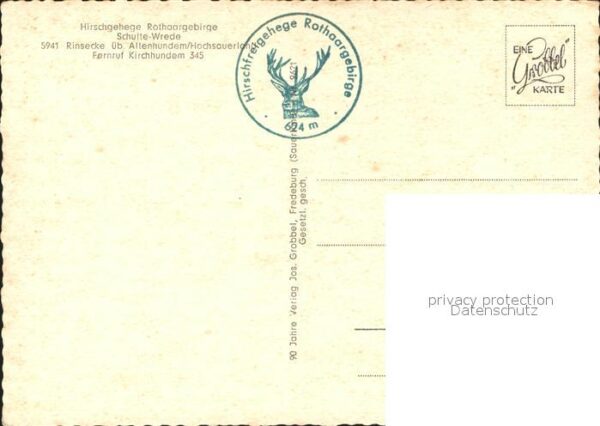 Hirsch Hirschgehege Rothaargebirge Rinsecke – Bild 2