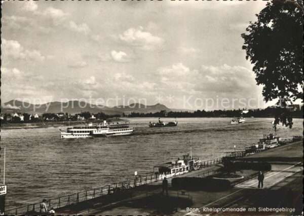 Dampfer Seitenrad Bonn Rheinpromenade Siebengebirge