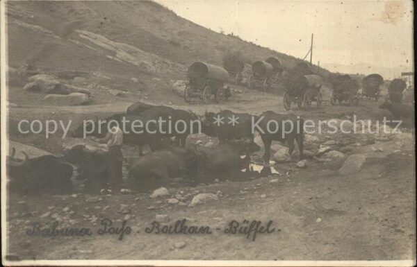 Bueffel Balkan Babuna Pass