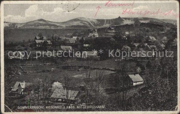 Kiesewald Riesengebirge Gebirgskamm