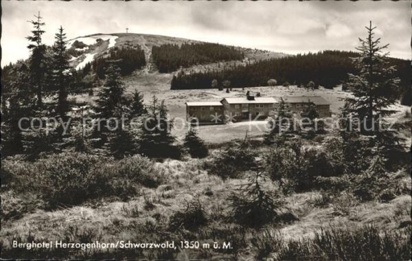 Schwarzwald Berghotel Herzogenhorn