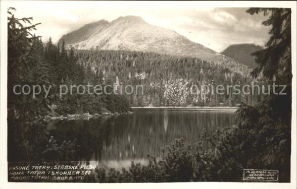 Vysoke Tatry Bergsee Hohe-Tatra