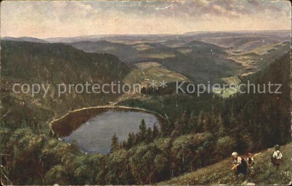 Hoffmann Heinrich Fedlberg-Seebuck Feldsee Nr. 203