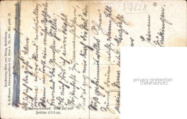 Hoffmann Heinrich Fedlberg-Seebuck Feldsee Nr. 203 – Bild 2