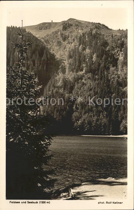 Foto Kellner Rolf Nr. 295 Feldsee Seebuck  Feldsee