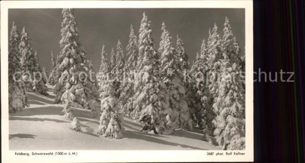 Foto Kellner Rolf Nr. 2687 Feldberg Schwarzwald