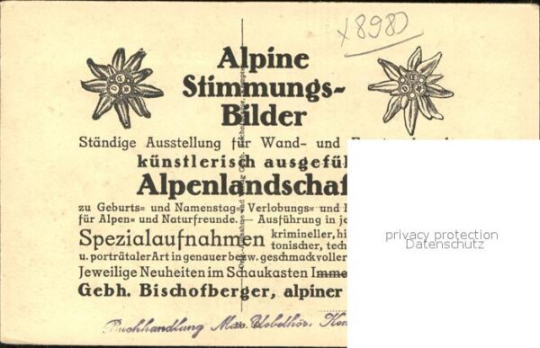 Hirte Schafe Oberstdorf Alpine Stimmungsbilde – Bild 2