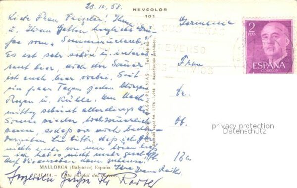 Kakteen Mallorca Baleares Puerto – Bild 2