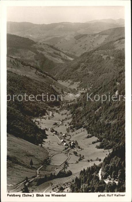 Foto Kellner Rolf Nr. 6324 Feldberg Wiesental