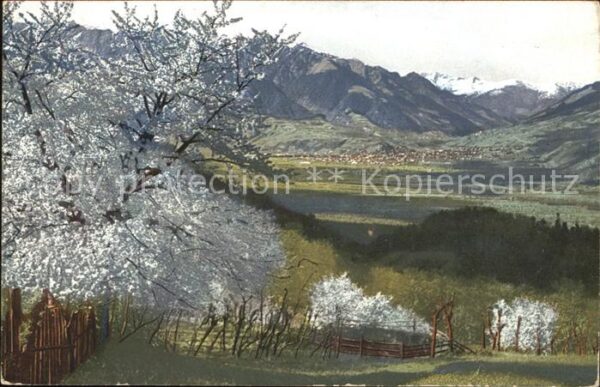 Verlag Photochromie Nr. 2716 Serie 145 Obstblüte Tirol