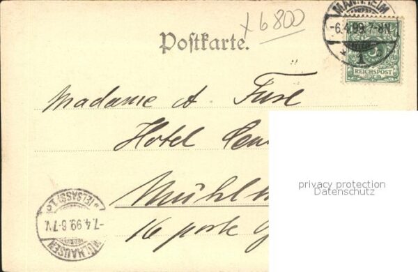 Trompeter Scheffel Überraschung – Bild 2