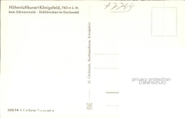 Eichhoernchen Doniswald Königsfeld Schwarzwald – Bild 2