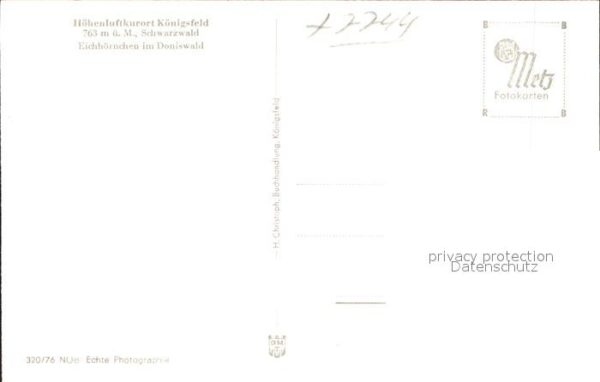Eichhoernchen Doniswald Königsfeld Schwarzwald – Bild 2