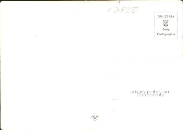 Schafe Foto Liesel Wiesse – Bild 2