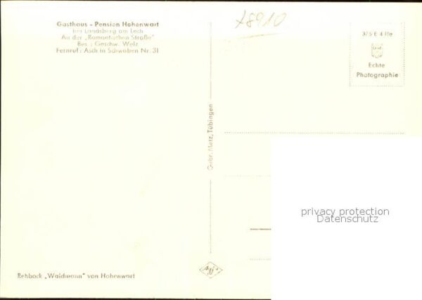 Reh Rehbock Waldmann Hohenwart – Bild 2