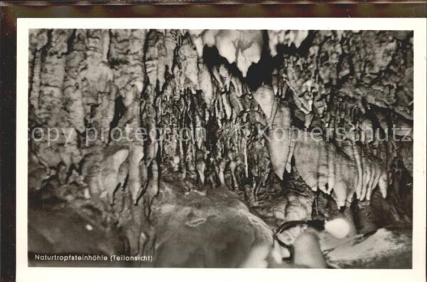 Hoehlen Caves Grottes Naturtropfsteinhöhle Niedaltdorf Saar