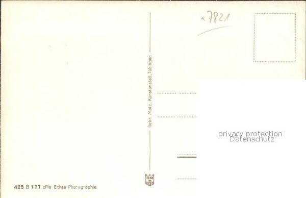 Blumen Enzian Schwarzwald – Bild 2