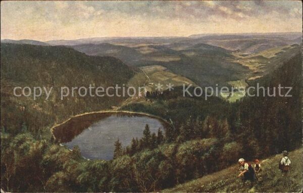 Hoffmann Heinrich Feldberg-Seebuck Feldsee Nr. 203