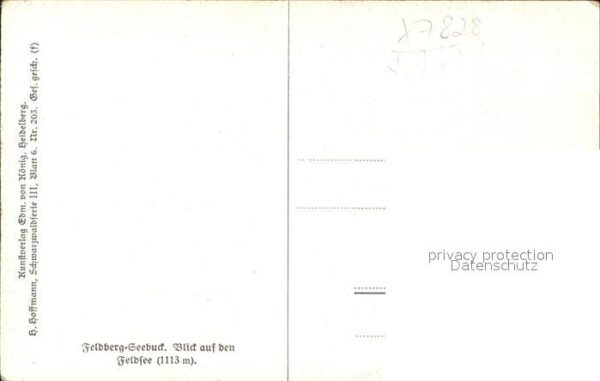 Hoffmann Heinrich Feldberg-Seebuck Feldsee Nr. 203 – Bild 2