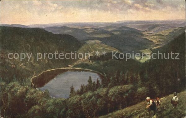 Hoffmann Heinrich Feldberg-Seebuck Feldsee Nr. 203