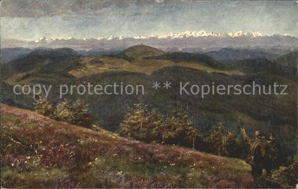 Hoffmann Heinrich Feldberg Herzogenborn Alpenkette Nr. 20