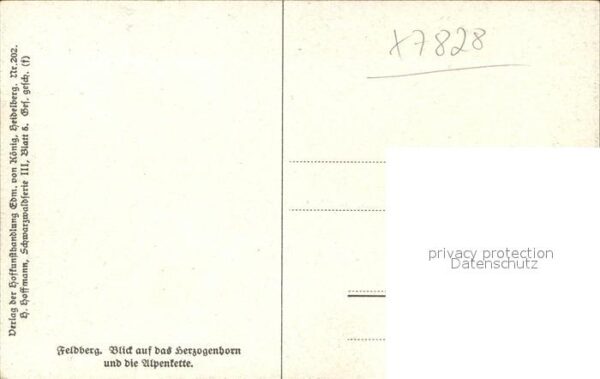 Hoffmann Heinrich Feldberg Herzogenborn Alpenkette Nr. 20 – Bild 2
