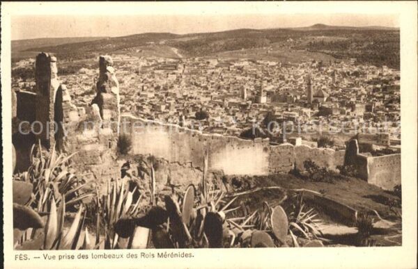 Fes Rois Merenides