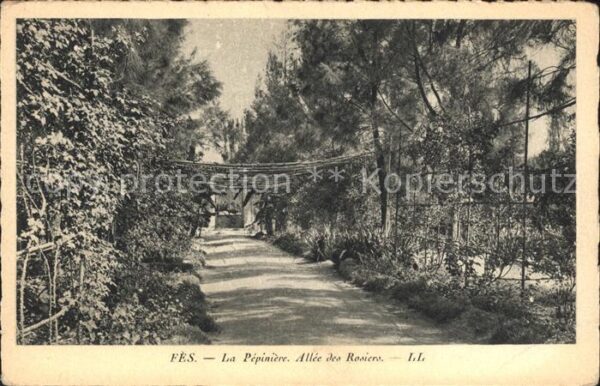 Fes Pepiniere Allee Rosiers