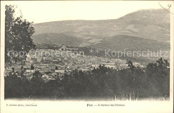 Fes Fez Maroc A travers Oliviers