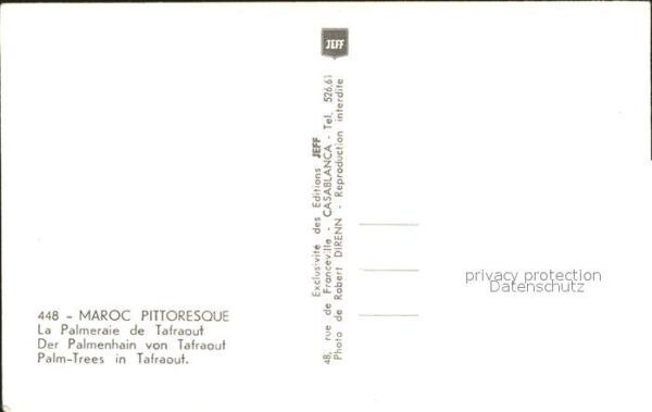 Marokko Maroc Pittoresque Palmeraie Tafraout – Bild 2