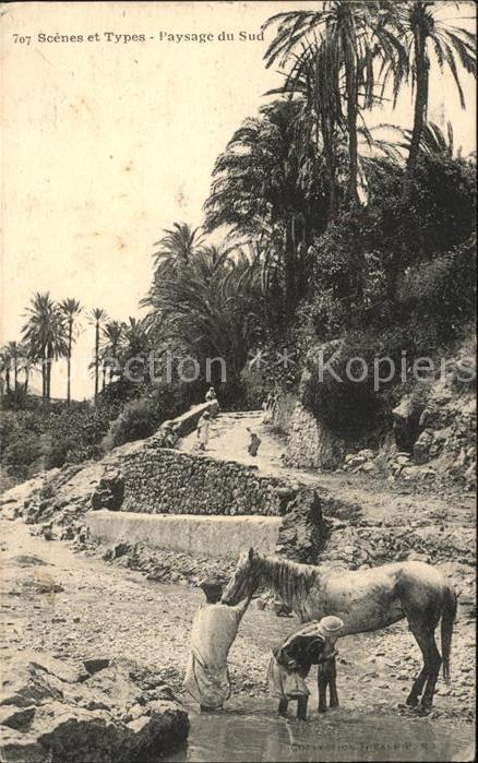 Marokko Maroc Scenes Types Paysage Sud
