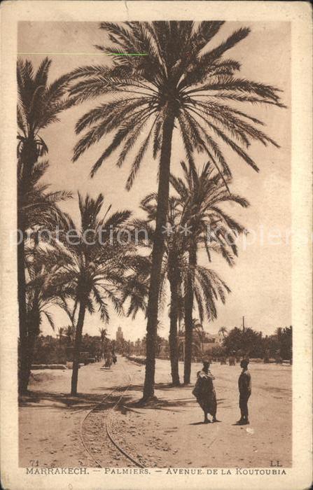 Marrakech Palmiers Avenue Koutoubia