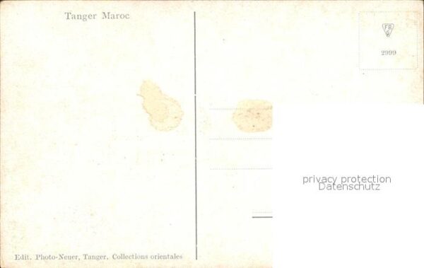 Tanger Tangier Tangiers Palme Typen – Bild 2