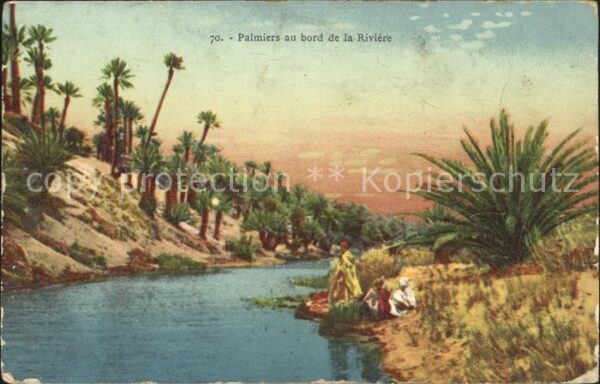 Oudjda Palmiers Riviere