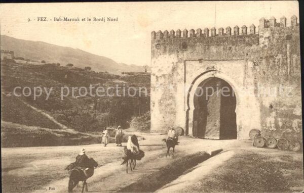Fes Fez Maroc Bab Morouk et le Bordj Nord