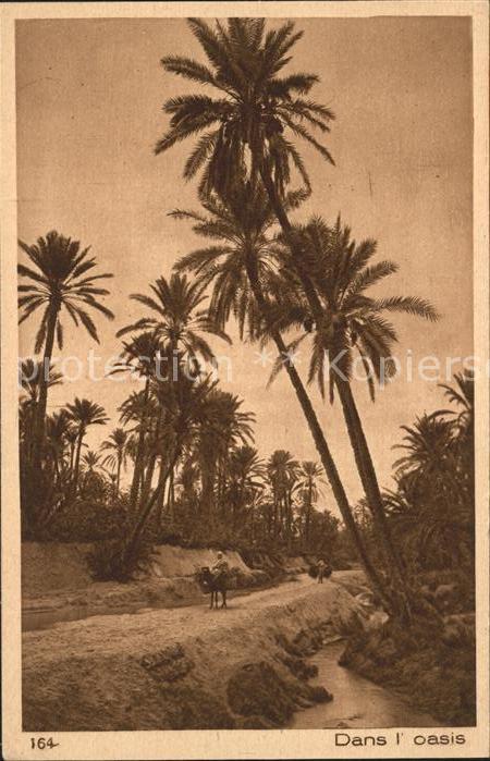Marokko Maroc Dans i oasis