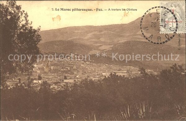Fes Fez Maroc travers les Oliviers