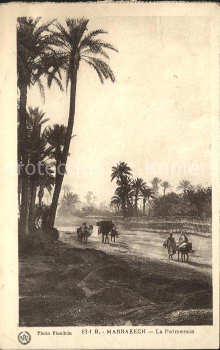 Marrakech Marrakesch La Palmeraie