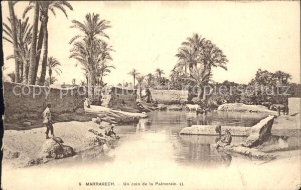 Marrakech Marrakesch Un coin Palmeraie
