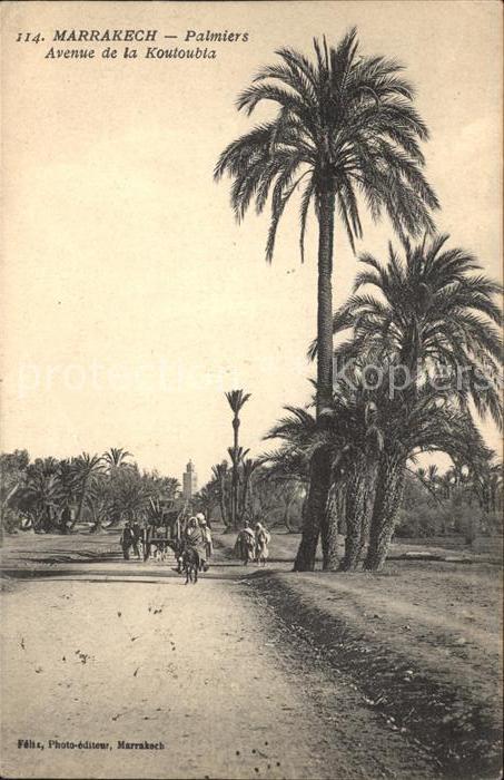 Marrakech Marrakesch Palmiers Avenue de la Koutoubia