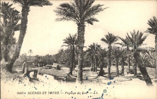 Marokko Maroc Scenes et Types Paysage du Sud